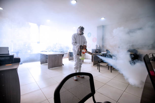 Insect and pest control in Qatar