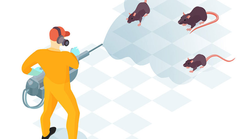 مكافحة القوارض في قطر